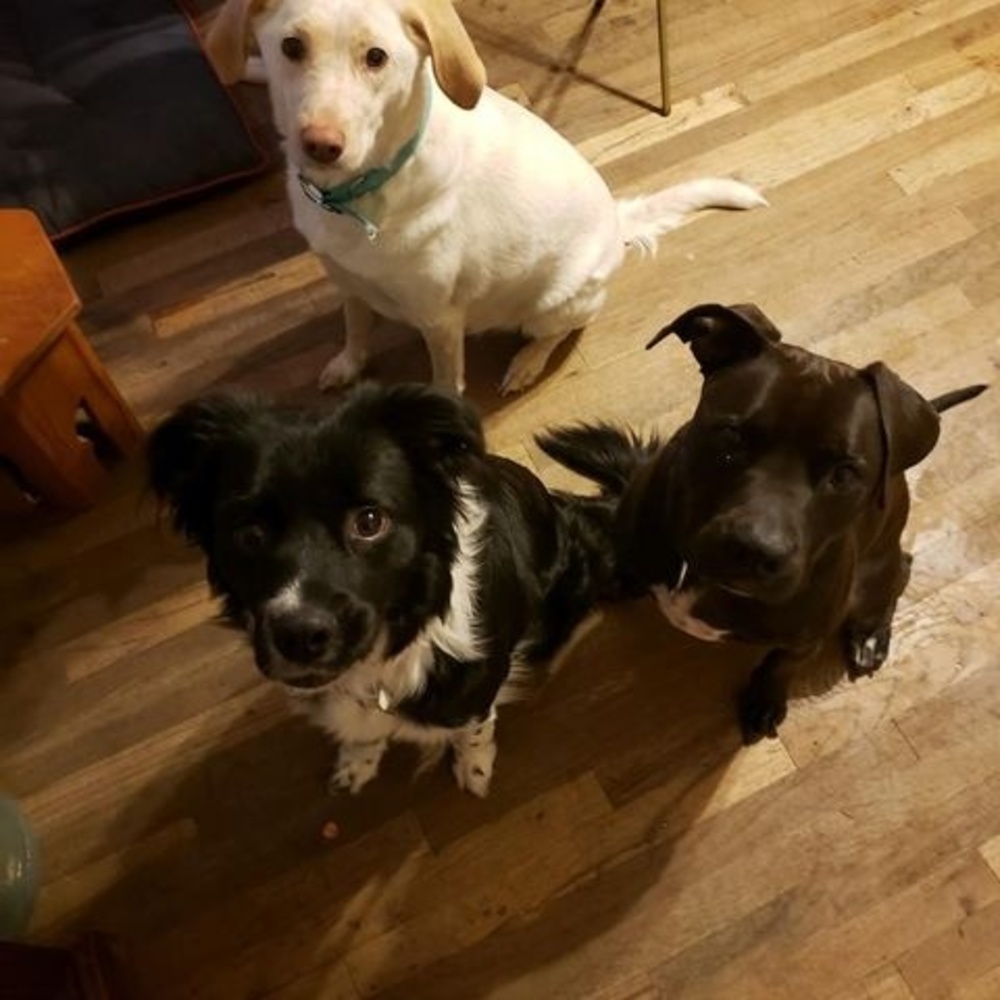 Meet your Posher, Delma